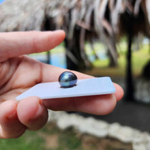 Load image into Gallery viewer, Civa Fiji Loose Saltwater Pearl - FJD$
