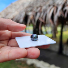 Load image into Gallery viewer, Civa Fiji Loose Saltwater Pearl - FJD$
