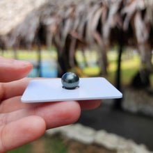 Load image into Gallery viewer, Civa Fiji Loose Saltwater Pearl - FJD$
