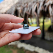 Load image into Gallery viewer, Civa Fiji Loose Saltwater Pearl - FJD$
