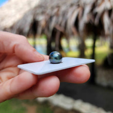 Load image into Gallery viewer, Civa Fiji Loose Saltwater Pearl - FJD$
