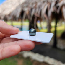 Load image into Gallery viewer, Civa Fiji Loose Saltwater Pearl - FJD$
