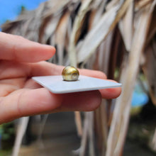 Load image into Gallery viewer, Civa Fiji Loose Saltwater Pearl - FJD$
