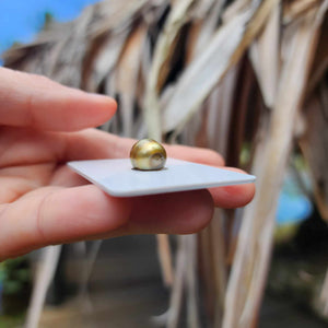 Civa Fiji Loose Saltwater Pearl - FJD$