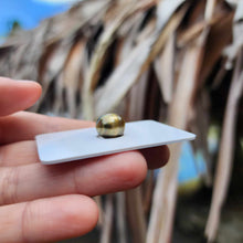 Load image into Gallery viewer, Civa Fiji Loose Saltwater Pearl - FJD$

