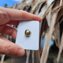 Load image into Gallery viewer, Civa Fiji Loose Saltwater Pearl - FJD$
