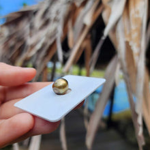 Load image into Gallery viewer, Civa Fiji Loose Saltwater Pearl - FJD$
