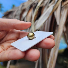 Load image into Gallery viewer, Civa Fiji Loose Saltwater Pearl - FJD$
