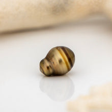 Load image into Gallery viewer, Civa Fiji Loose Saltwater Pearl - FJD$
