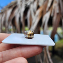 Load image into Gallery viewer, Civa Fiji Loose Saltwater Pearl - FJD$
