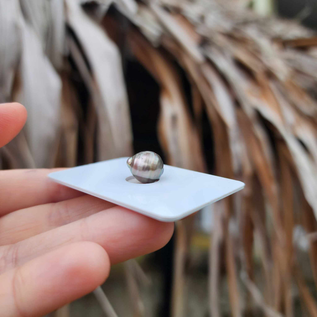 Civa Fiji Loose Saltwater Pearl - FJD$