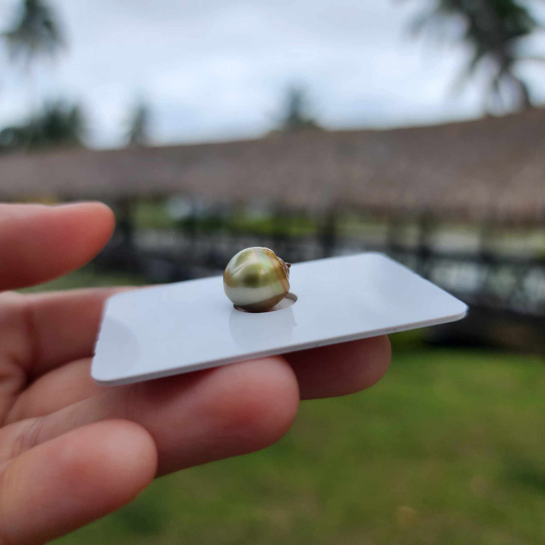 Civa Fiji Loose Saltwater Pearl - FJD$