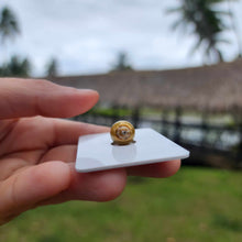 Load image into Gallery viewer, Civa Fiji Loose Saltwater Pearl - FJD$
