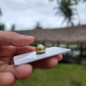 Civa Fiji Loose Saltwater Pearl - FJD$