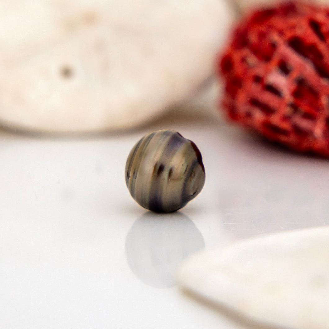 Civa Fiji Loose Saltwater Pearl - FJD$