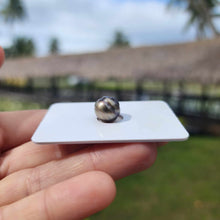 Load image into Gallery viewer, Civa Fiji Loose Saltwater Pearl - FJD$
