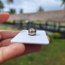 Load image into Gallery viewer, Civa Fiji Loose Saltwater Pearl - FJD$
