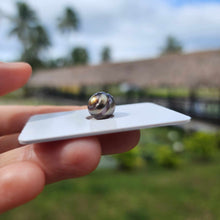 Load image into Gallery viewer, Civa Fiji Loose Saltwater Pearl - FJD$
