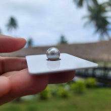 Load image into Gallery viewer, Civa Fiji Loose Saltwater Pearl - FJD$
