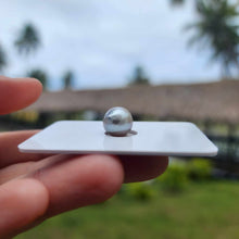 Load image into Gallery viewer, Civa Fiji Loose Saltwater Pearl - FJD$
