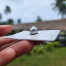 Load image into Gallery viewer, Civa Fiji Loose Saltwater Pearl - FJD$
