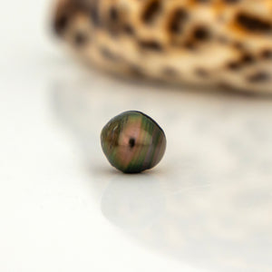 Civa Fiji Loose Saltwater Pearl - FJD$