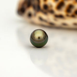 Civa Fiji Loose Saltwater Pearl - FJD$