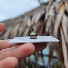 Load image into Gallery viewer, Civa Fiji Loose Saltwater Pearl - FJD$

