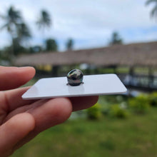 Load image into Gallery viewer, Civa Fiji Loose Saltwater Pearl - FJD$
