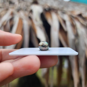 Civa Fiji Loose Saltwater Pearl - FJD$