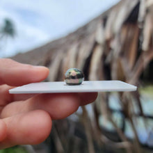 Load image into Gallery viewer, Civa Fiji Loose Saltwater Pearl - FJD$
