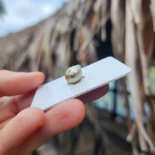 Load image into Gallery viewer, Civa Fiji Loose Saltwater Pearl - FJD$
