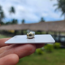 Load image into Gallery viewer, Civa Fiji Loose Saltwater Pearl - FJD$
