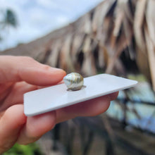Load image into Gallery viewer, Civa Fiji Loose Saltwater Pearl - FJD$
