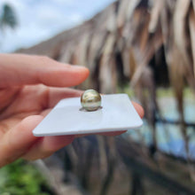 Load image into Gallery viewer, Civa Fiji Loose Saltwater Pearl - FJD$
