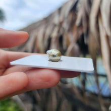 Load image into Gallery viewer, Civa Fiji Loose Saltwater Pearl - FJD$
