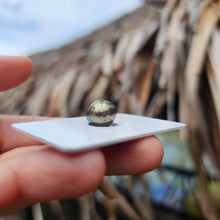 Load image into Gallery viewer, Civa Fiji Loose Saltwater Pearl - FJD$
