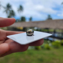 Load image into Gallery viewer, Civa Fiji Loose Saltwater Pearl - FJD$
