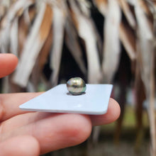 Load image into Gallery viewer, Civa Fiji Loose Saltwater Pearl - FJD$

