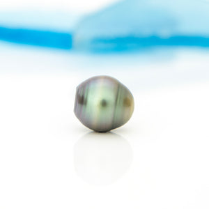 Civa Fiji Loose Saltwater Pearl - FJD$
