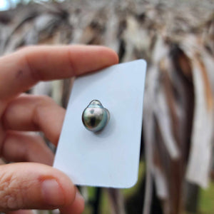 Civa Fiji Loose Saltwater Pearl - FJD$