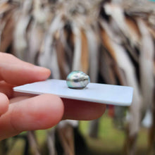 Load image into Gallery viewer, Civa Fiji Loose Saltwater Pearl - FJD$
