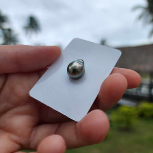 Civa Fiji Loose Saltwater Pearl - FJD$