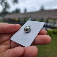 Load image into Gallery viewer, Civa Fiji Loose Saltwater Pearl - FJD$
