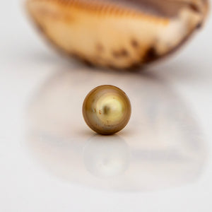 Civa Fiji Loose Saltwater Pearl - FJD$