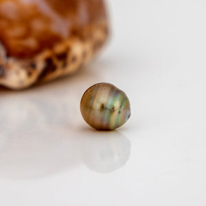 Civa Fiji Loose Saltwater Pearl - FJD$