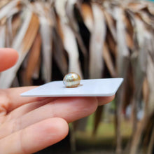 Load image into Gallery viewer, Civa Fiji Loose Saltwater Pearl - FJD$
