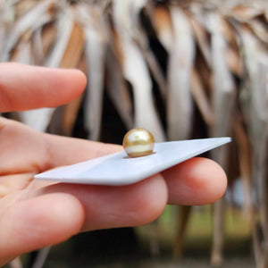 Civa Fiji Loose Saltwater Pearl - FJD$