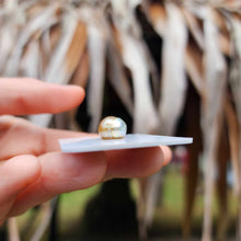 Load image into Gallery viewer, Civa Fiji Loose Saltwater Pearl - FJD$
