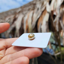 Load image into Gallery viewer, Civa Fiji Loose Saltwater Pearl - FJD$
